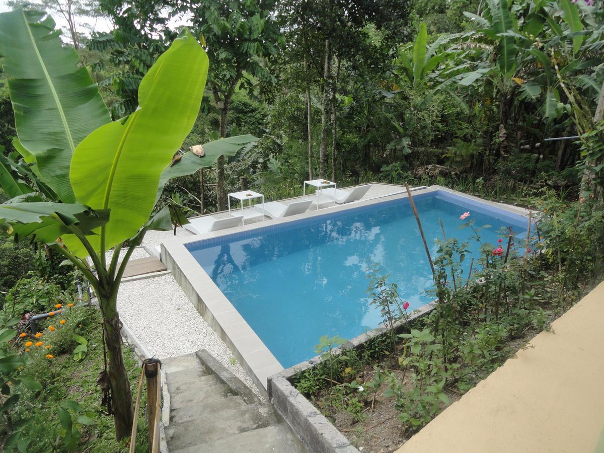 Putu Yoga Bed & Breakfast Ubud